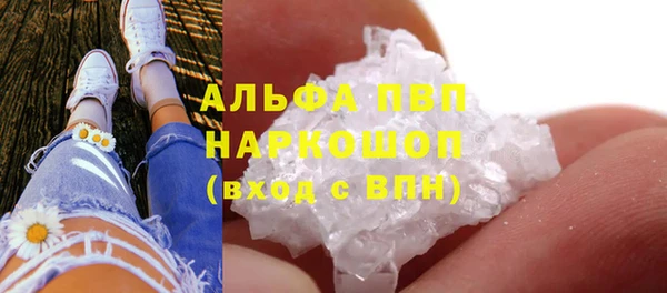 гидропоника Коряжма
