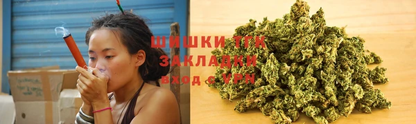 гидропоника Коряжма