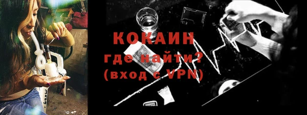 молекула духа Краснослободск