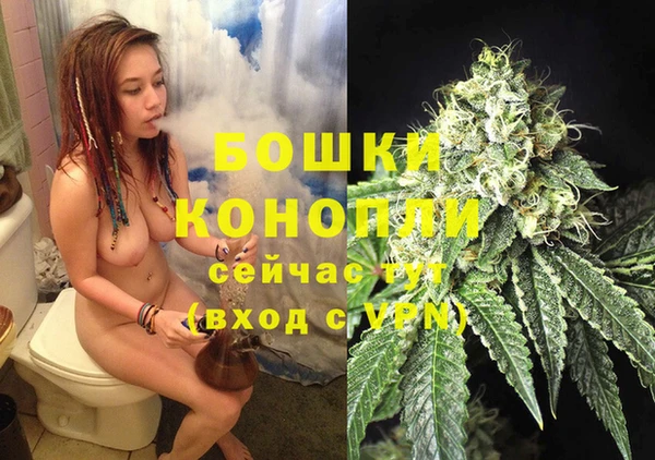 2c-b Костерёво