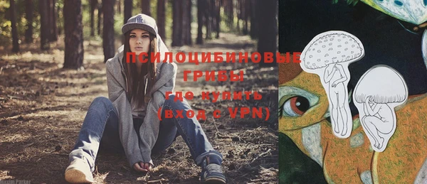 2c-b Костерёво