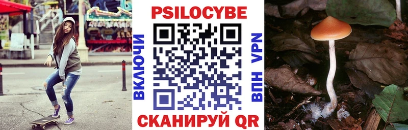 Псилоцибиновые грибы прущие грибы  Купить закладки  Поронайск 